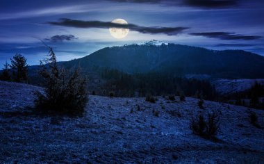 Bahar geceleri karlı tepe ile dağ