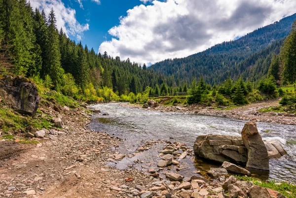 Río bosque con piedras en las orillas — Foto de Stock