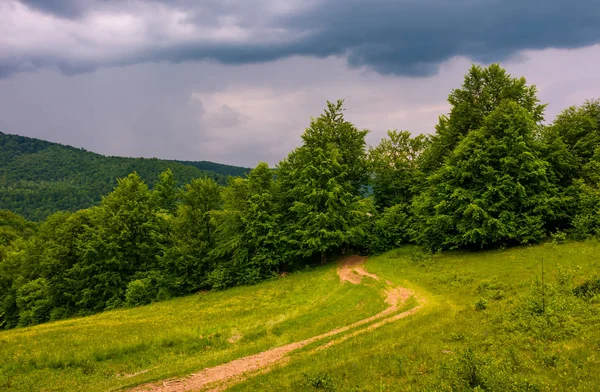 Grusvägen leder till skogen på mulen dag — Stockfoto