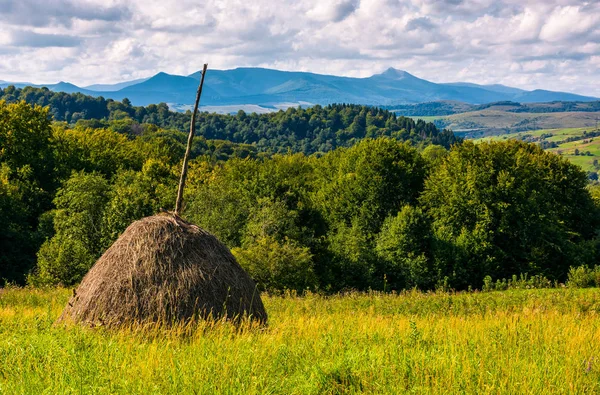 丘の中腹に草が茂った芝生の干し草の山 — ストック写真