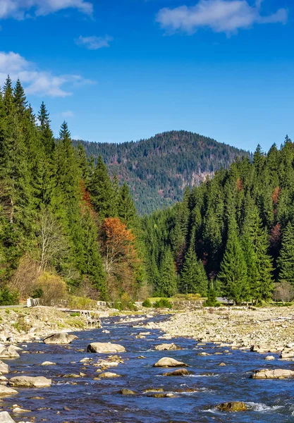 Paesaggio autunnale con fiume nella foresta di abeti rossi — Foto Stock