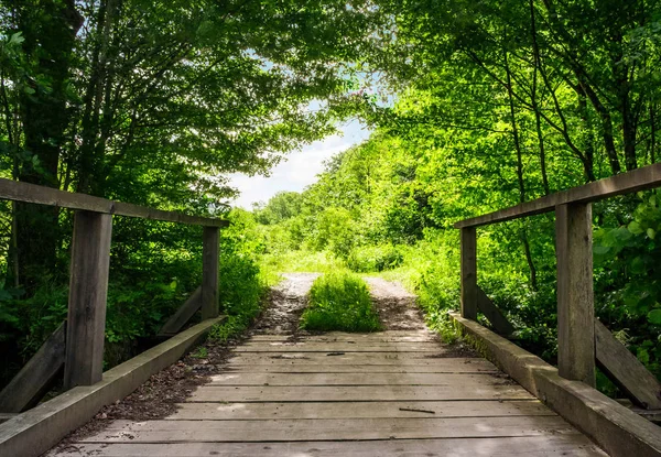 Ponte de madeira na floresta verde — Fotografia de Stock