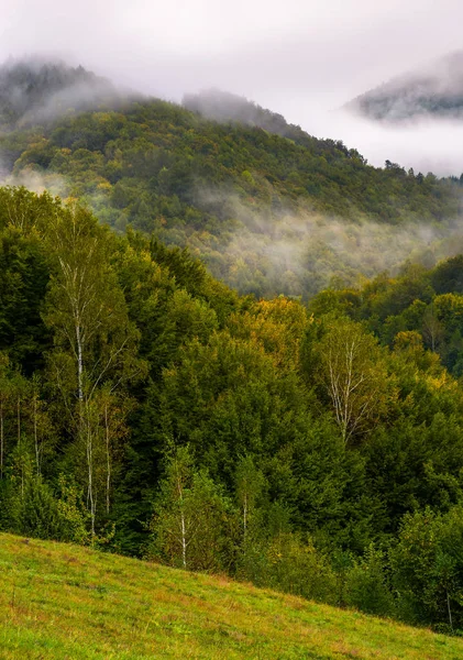Niebla y nubes bajas sobre las montañas boscosas —  Fotos de Stock