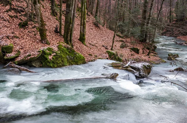 Zamarznięta rzeka w lesie z nie ma śniegu — Zdjęcie stockowe