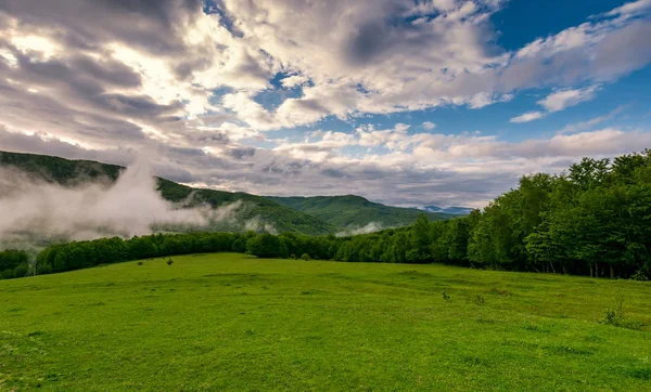 Niebla se eleva por encima del bosque —  Fotos de Stock