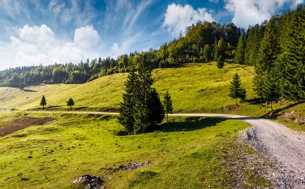 Köy yolunda ormanlık hillside aracılığıyla — Stok fotoğraf