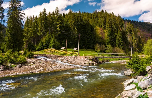 Râu de munte în primăvară — Fotografie, imagine de stoc