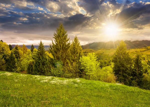 Encantadora paisagem rural com colinas gramadas ao pôr do sol — Fotografia de Stock