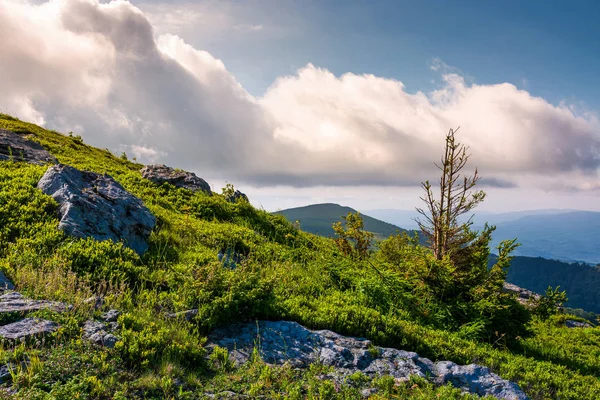 Grassy slopes with rocks on a cloudy day — Stock Photo, Image