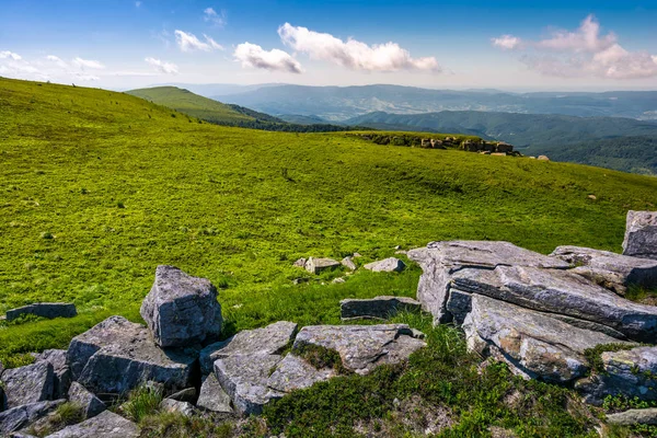 Gräsbevuxen alpina äng av Polonina Runa — Stockfoto