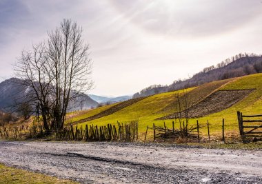 hillside çimenli kırsal alanların