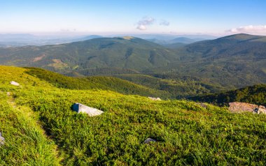 patika kayalar ile çimenli yamaç boyunca