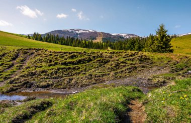 çayırlar ve tepelerde Ladin ormanı