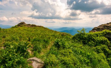 bir tepenin çimenli kenar