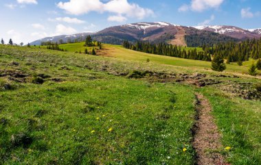 hills yükseltmelerdeki çimenli alanları