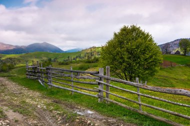 ağacın arkasına ahşap çit