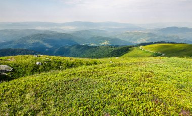 dağ çayır çimen halı
