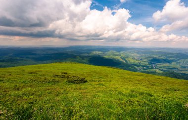 dağ çayır çimen halı