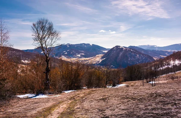 Paisagem montanhosa do Parque Nacional de Uzhansky — Fotografia de Stock