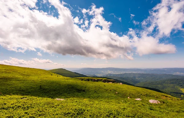 Travnatá louka na panorama Krkonoš — Stock fotografie