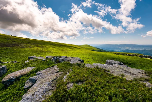 Massi su una collina erbosa in estate — Foto Stock