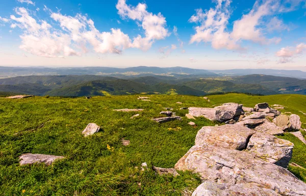 çimenli yamaçta düz kaya aralığı