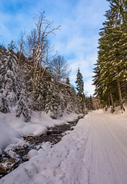 snow covered road along the path through forest