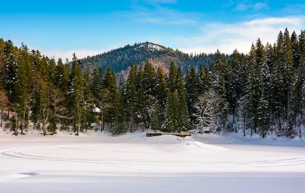 Sníh v zimě krytý zamrzlé jezero Synevyr — Stock fotografie
