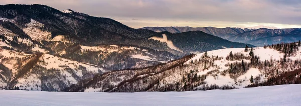 Πανόραμα χιονισμένο δασώδεις λόφους χειμώνα — Φωτογραφία Αρχείου