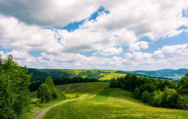 Мальовничою сільською Карпати влітку — стокове фото