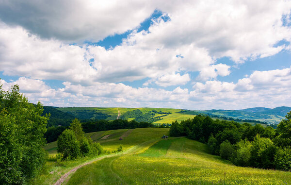 Beautiful countryside of Carpathians in summer. country road through rural fields leads in to the forest. landscape with rolling hills under the cloudy sky