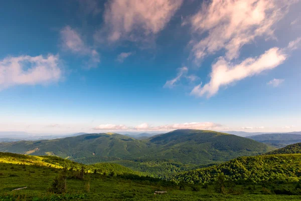 Vackert sommarlandskap i bergen — Stockfoto