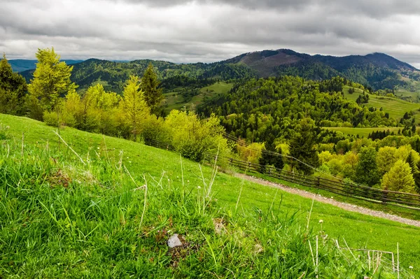 Grassy fields on forested hills — Stock Photo, Image