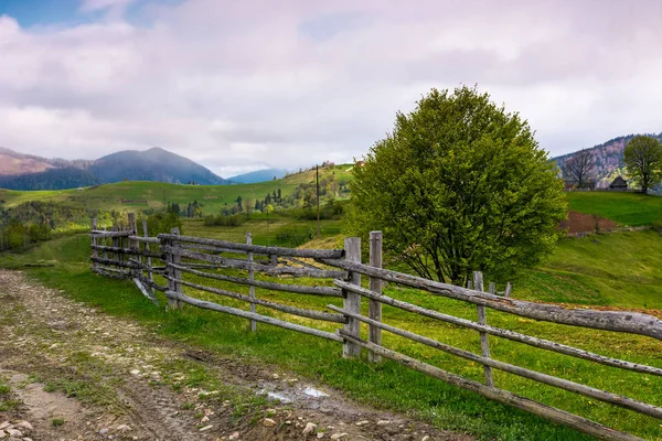 ağacın arkasına ahşap çit