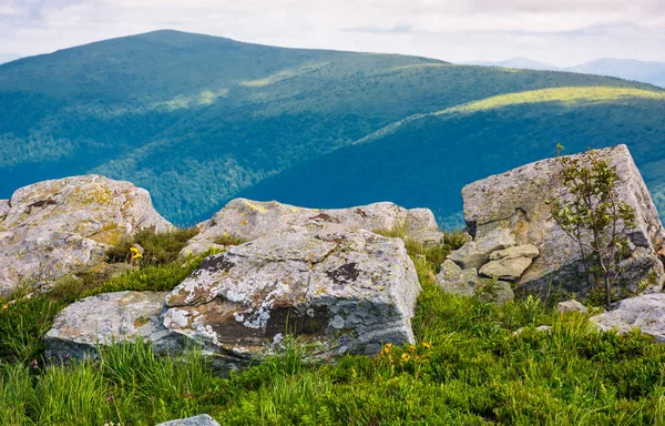 Obří balvany na travnatých svazích Polonina Runa — Stock fotografie