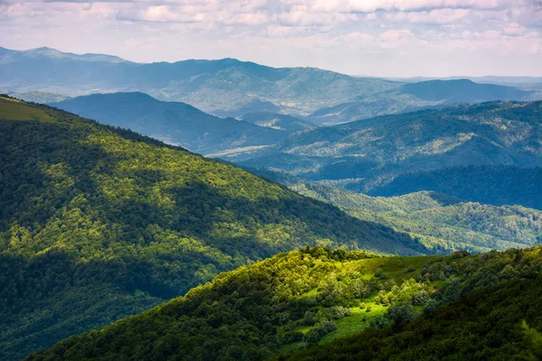 Encostas gramíneas das montanhas dos Cárpatos — Fotografia de Stock