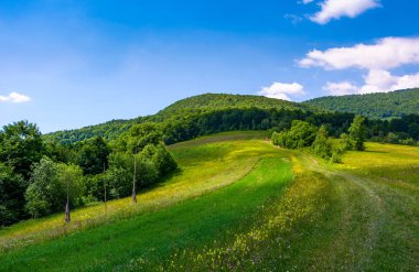 dağ yamacındaki çimenli kırsal alanlar