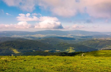 bulutlu bir günde yamaca otsu çayır