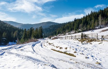yol kışın çam ormanı