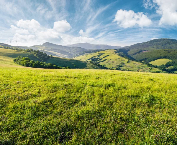 Prato erboso in montagna — Foto Stock