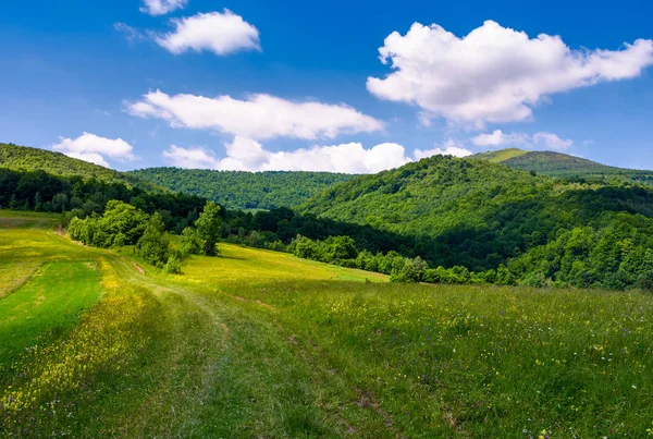 Grassy rural fields on mountain slopes — Stock Photo, Image