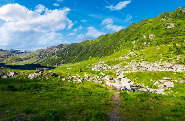 Όμορφη κοιλάδα του Fagaras βουνά — Φωτογραφία Αρχείου