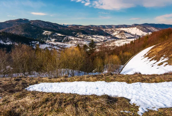 Paysage hivernal du parc national d'Oujansky — Photo