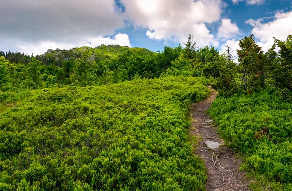 Bela paisagem montanhosa com colinas gramadas — Fotografia de Stock