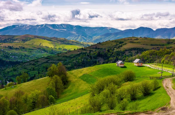 Wunderschöne Landschaft in den Karpaten — Stockfoto