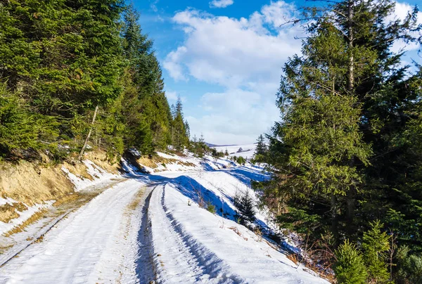 Дорога через еловые леса зимой — стоковое фото
