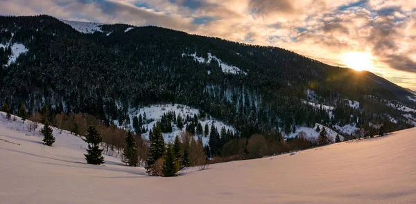 Panorama de invierno en las montañas al amanecer —  Fotos de Stock