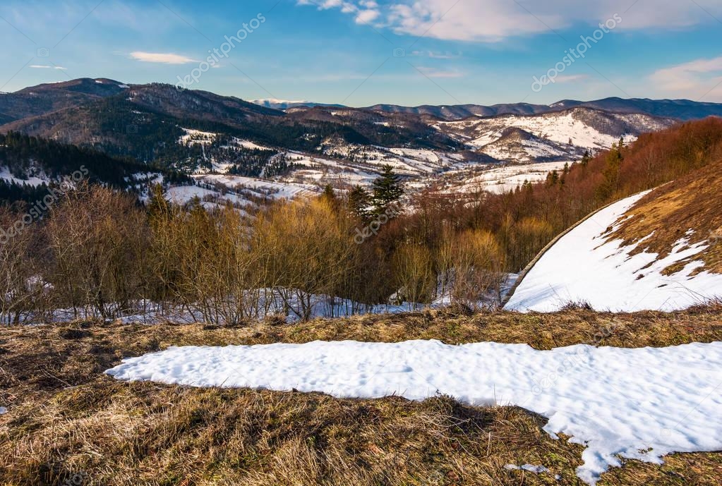 Winter landscape of Uzhansky National Park