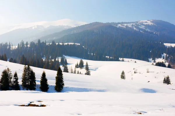 Zimní pohádka v Karpatských horách — Stock fotografie