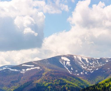 İlkbaharda dağ ilahisi